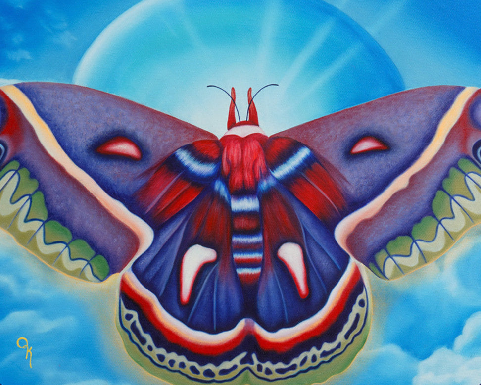 "Cecropia Moth" Print
