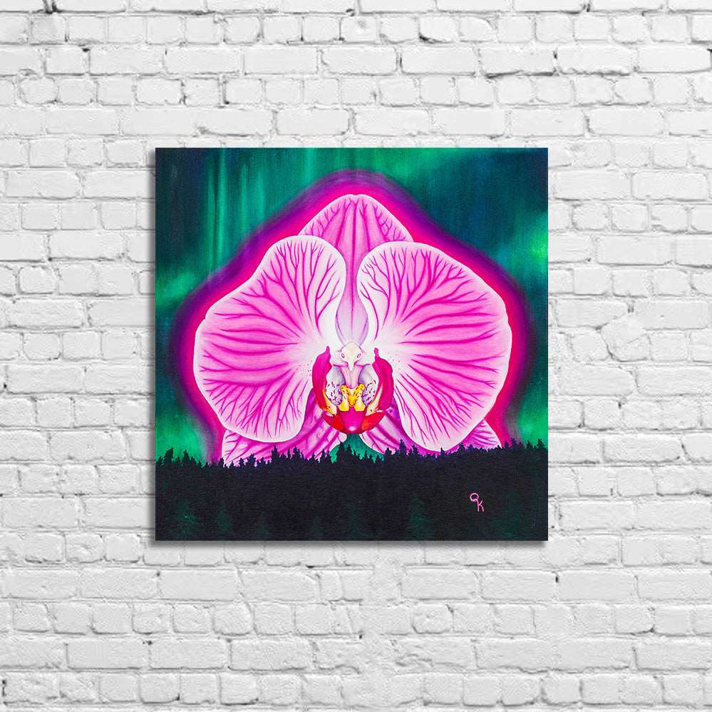 Northern Orchid Original