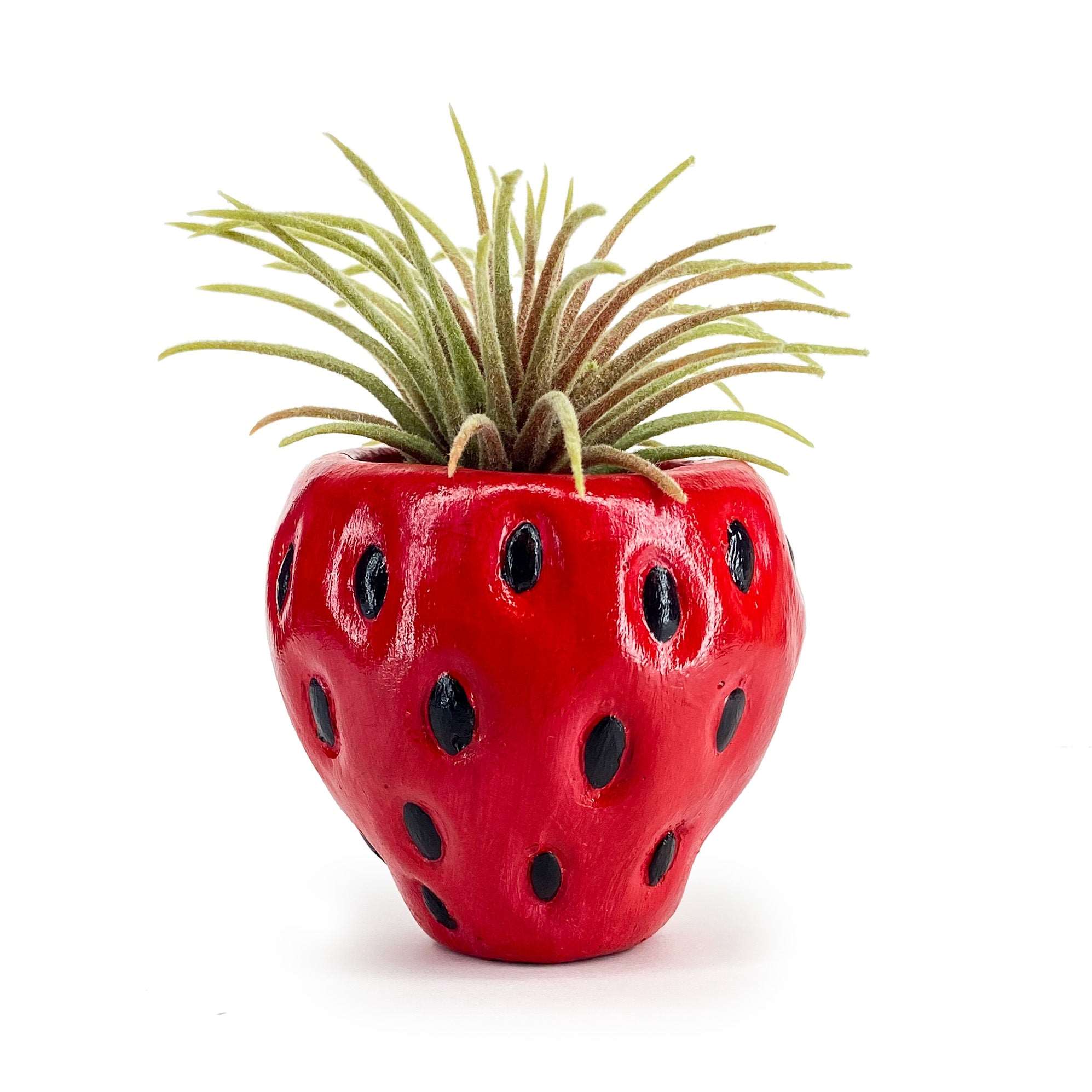 strawberry shaped plant pot Lil' Strawberry Pot – queenkelthecreator
