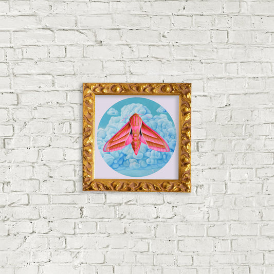 "Elephant Hawk Moth" Print