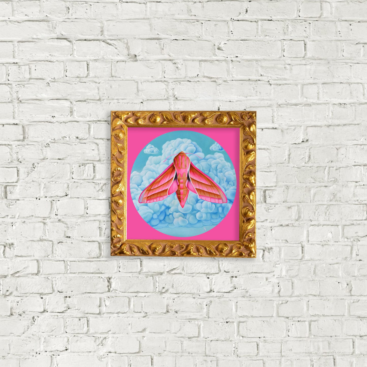 "Elephant Hawk Moth" Print