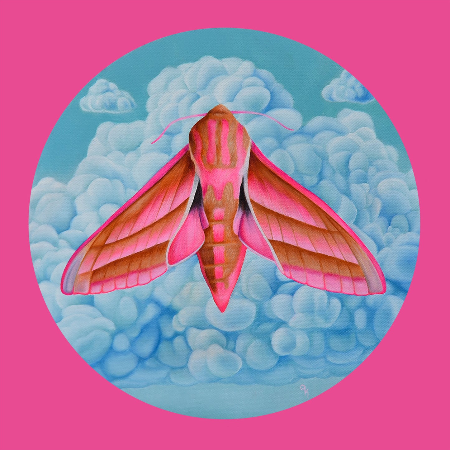 "Elephant Hawk Moth" Print
