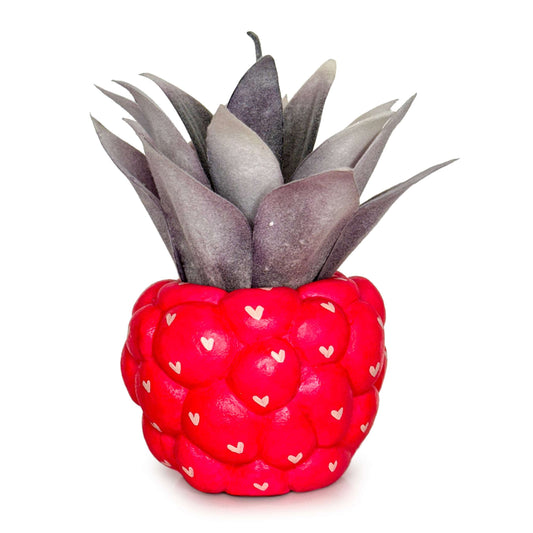 LIMITED EDITION LOVE Raspberry Pot