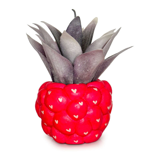 LIMITED EDITION LOVE Raspberry Pot