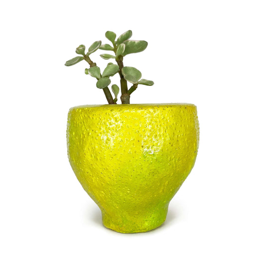 Lil' Lemon Pot