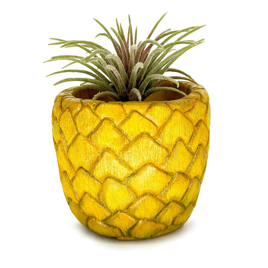 Lil' Pineapple Pot