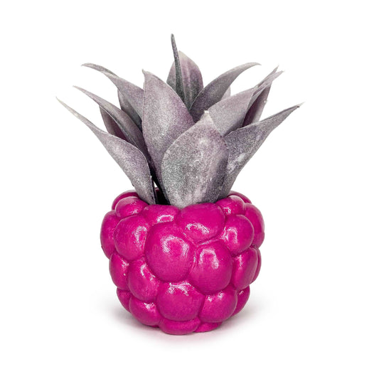 LIMITED EDITION PINK Lil' Raspberry Pot
