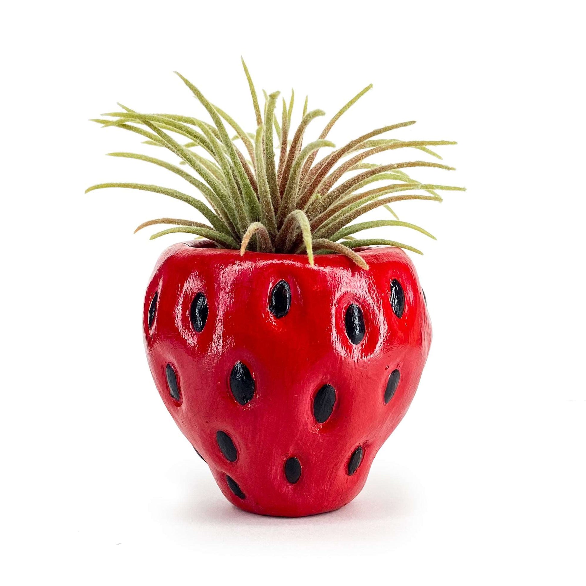 strawberry succulent pot Lil' Strawberry Pot – queenkelthecreator